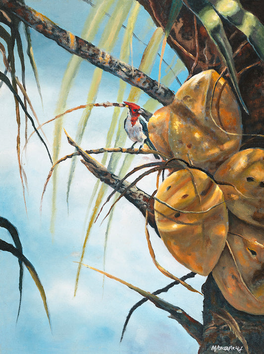 Bird's Eye View - Giclée on Paper