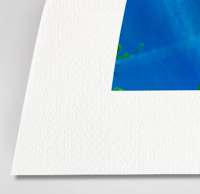 Bird's Eye View - Giclée on Paper