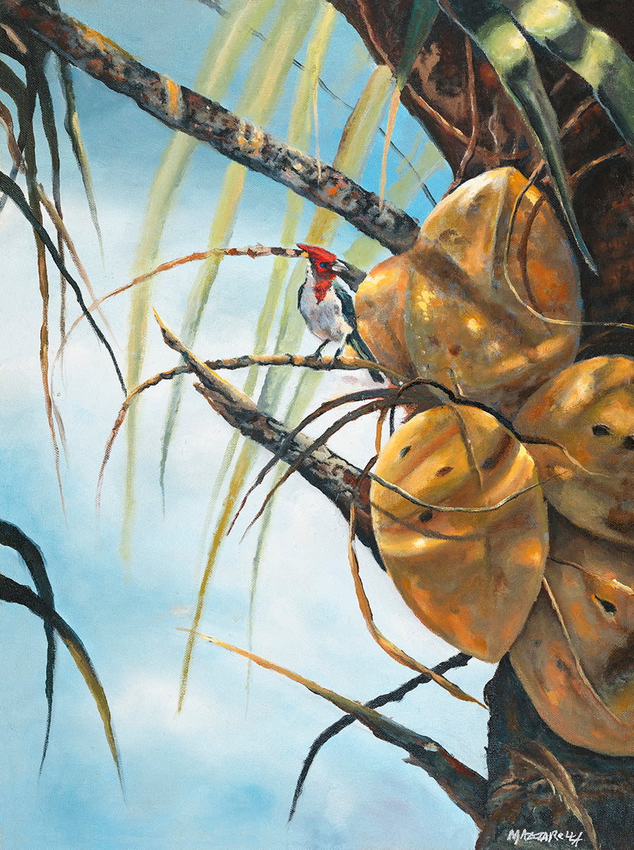 Bird's Eye View - Giclée on Metal